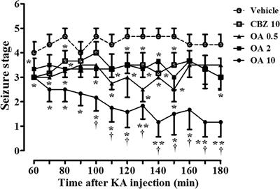 Antiepileptic and Neuroprotective Effects of Oleamide in Rat Striatum on Kainate-Induced Behavioral Seizure and Excitotoxic Damage via Calpain Inhibition